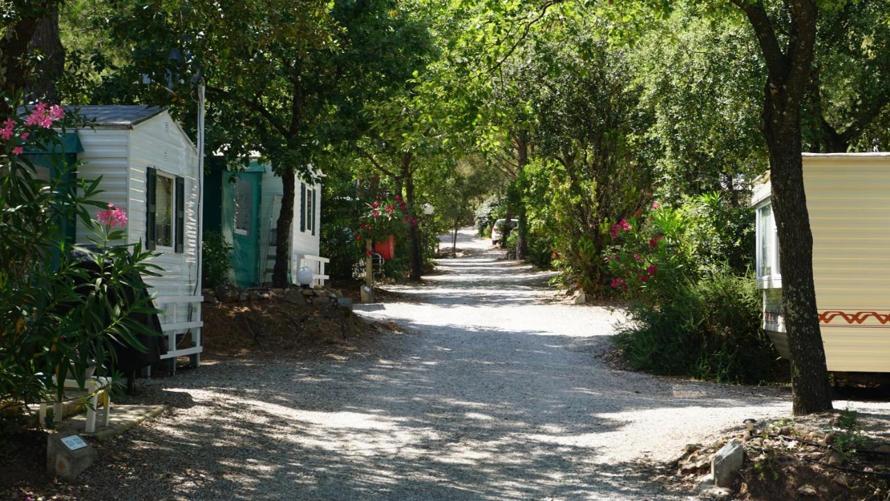 Chalets Met Buitenkeuken Op Camping Lei Suves - Joycasa Roquebrune-sur Argens Exterior foto