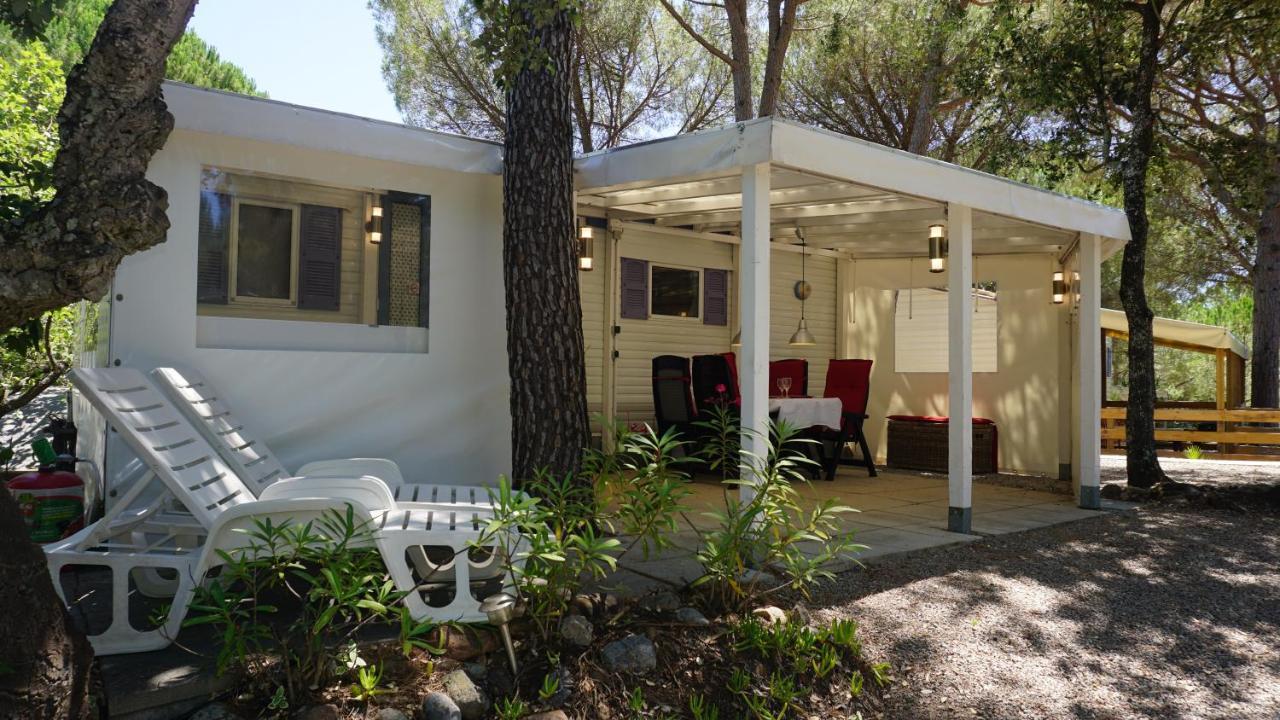 Chalets Met Buitenkeuken Op Camping Lei Suves - Joycasa Roquebrune-sur Argens Exterior foto